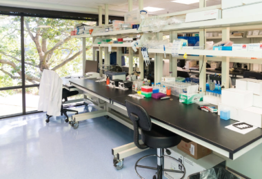 Lab